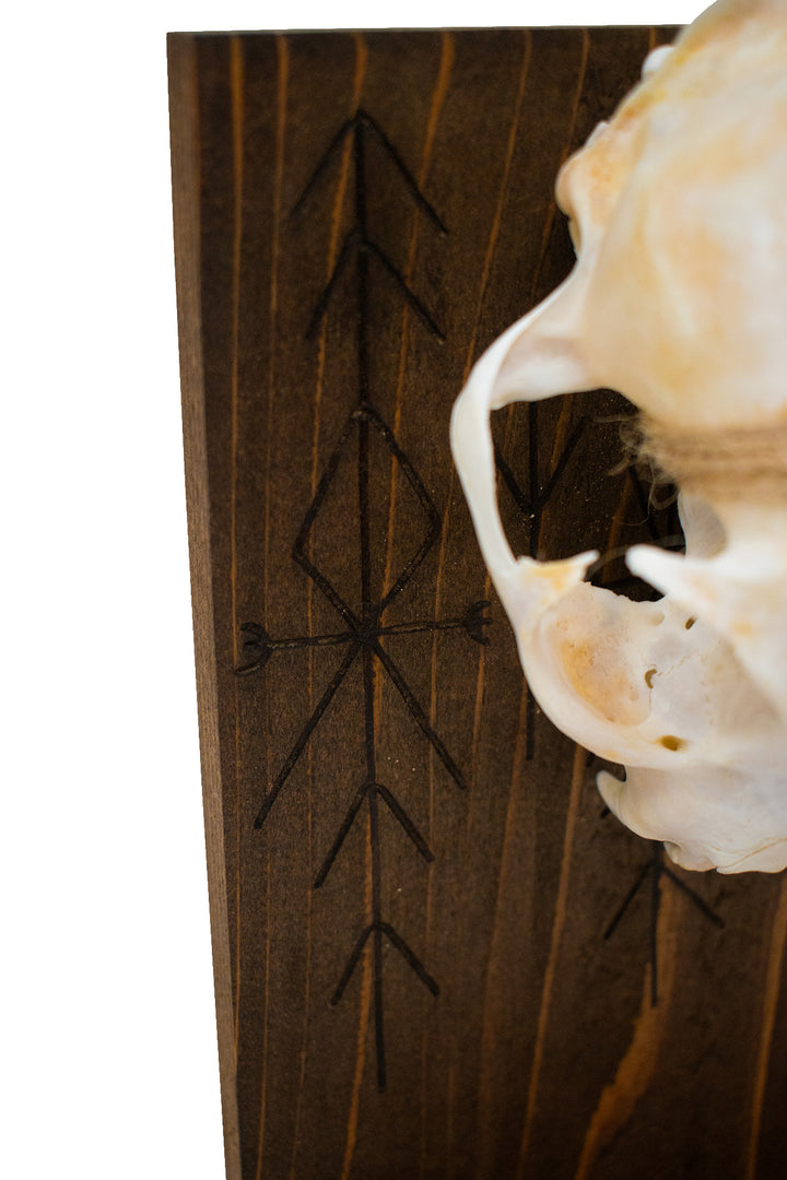 home protection bind rune and bobcat skull altar