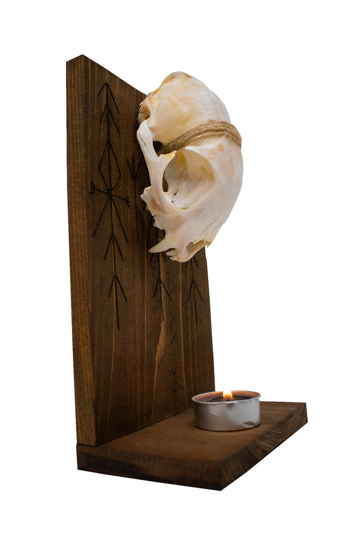 home protection bind rune and bobcat skull altar