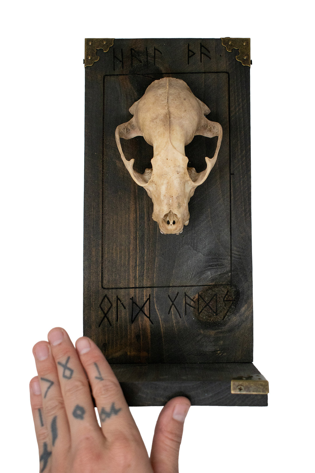 Raccoon Skull Hail the Old Gods Altar