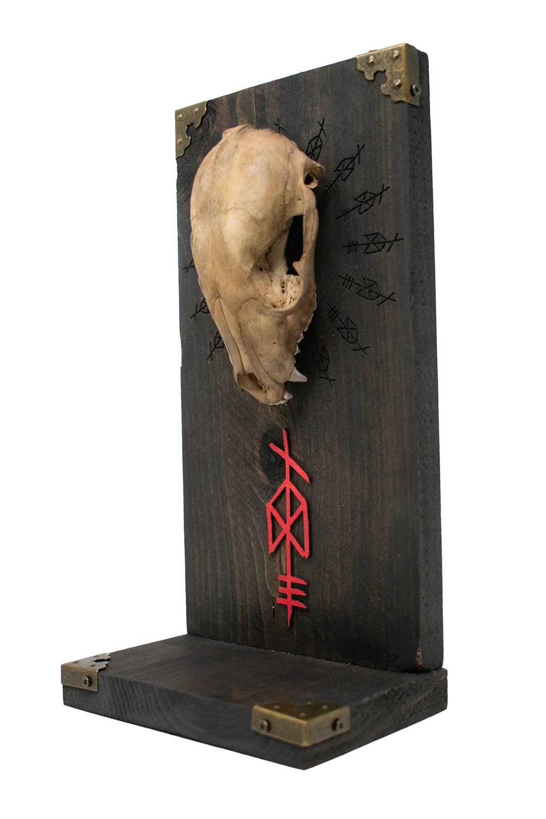 Odin Raccoon Skull Altar