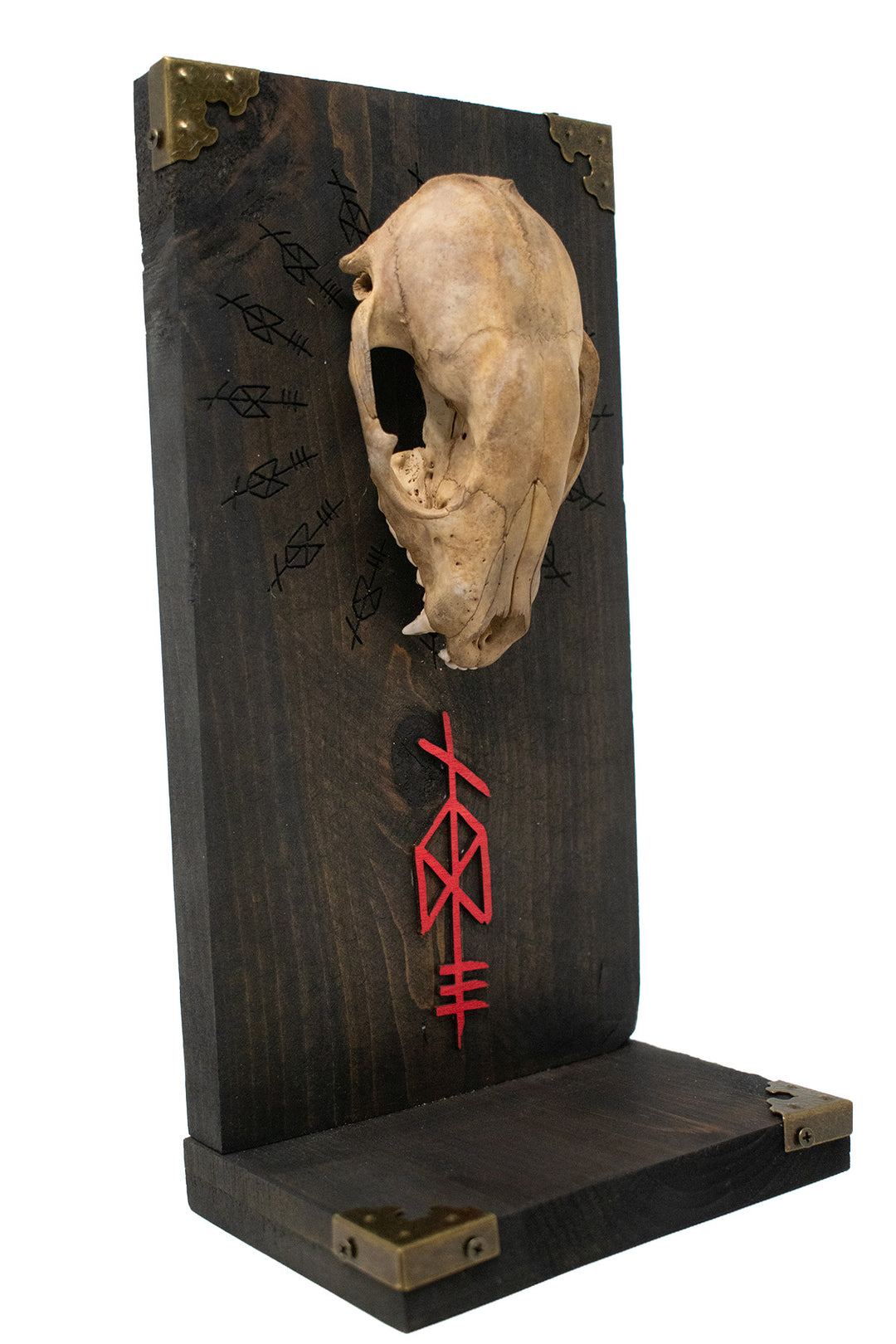 Odin Raccoon Skull Altar