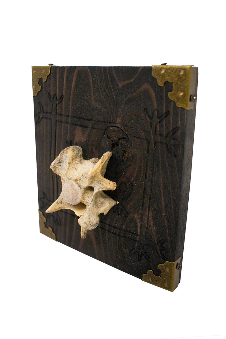 Lásabrjótur wolf vertebra wall hanger