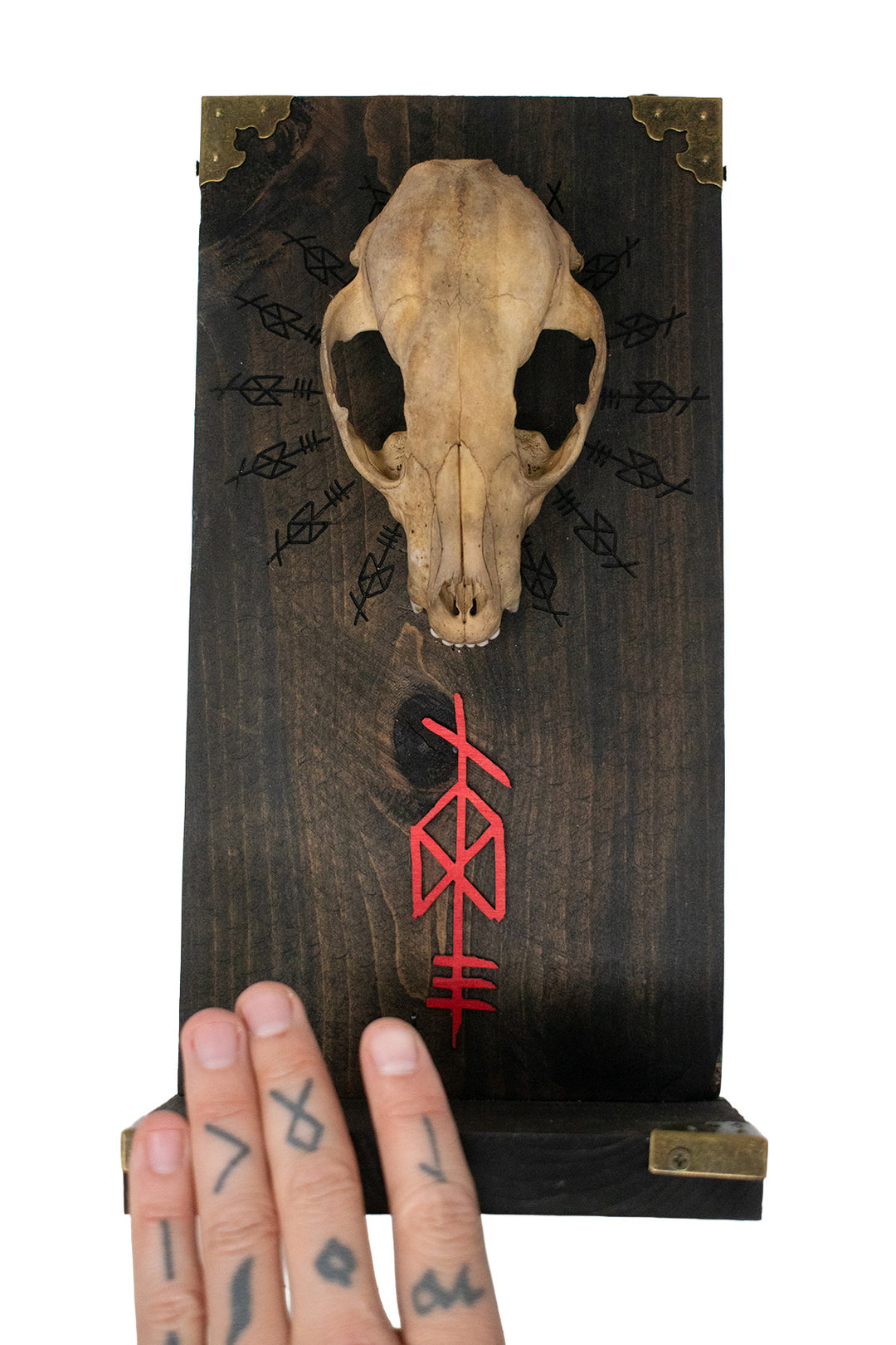 Odin Raccoon Skull Altar