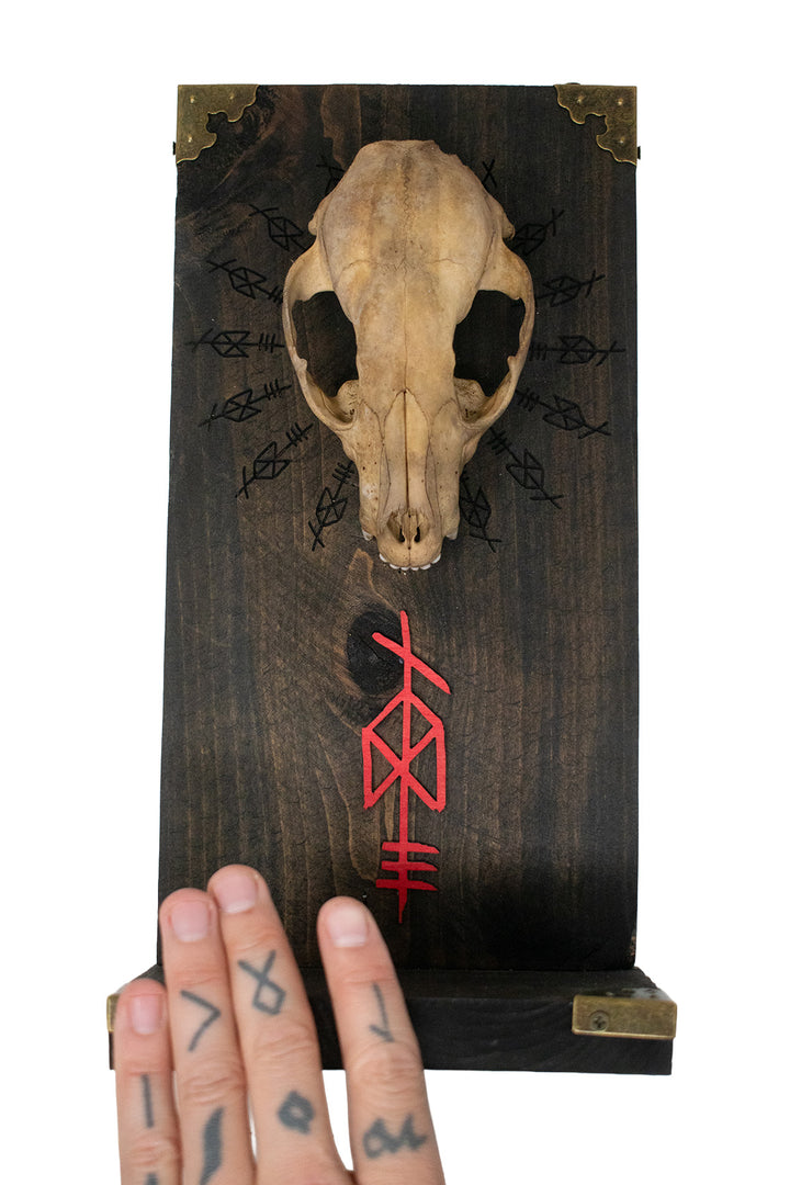 Odin Raccoon Skull Altar