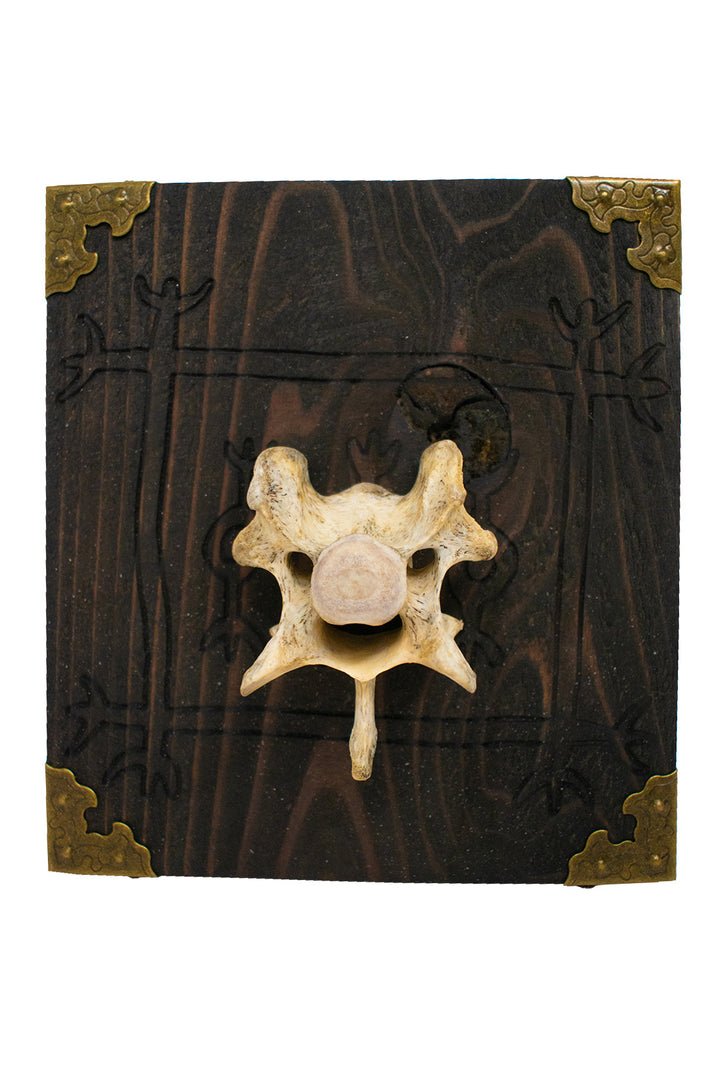 Lásabrjótur wolf vertebra wall hanger