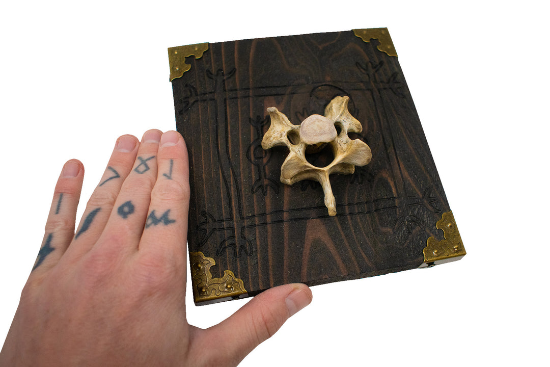 Lásabrjótur wolf vertebra wall hanger