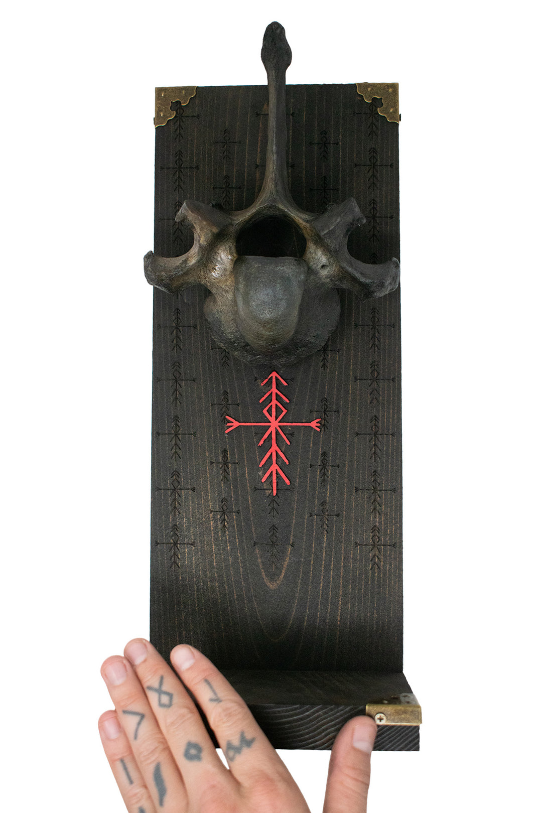 Home Protection Cow Vertebra Altar