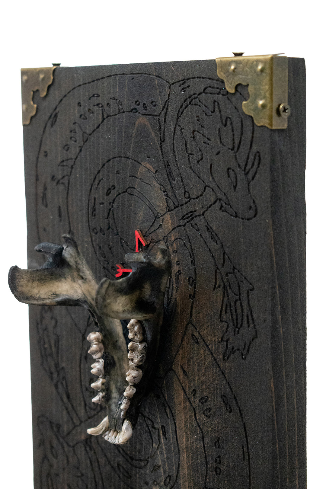 Raccoon Jawbone Loki Altar