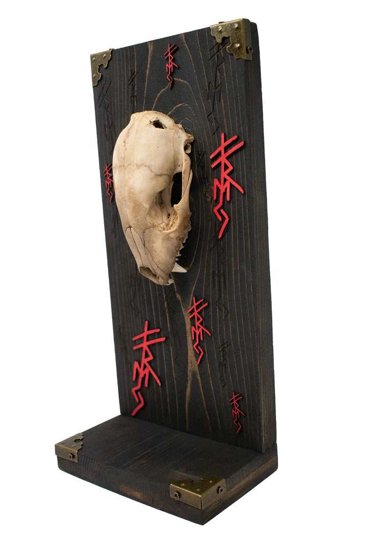 Raccoon Skull Freya Invocation Altar