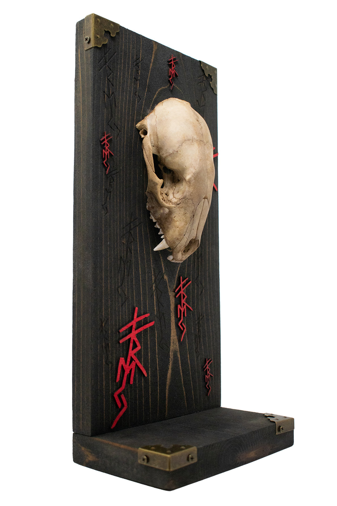 Raccoon Skull Freya Invocation Altar