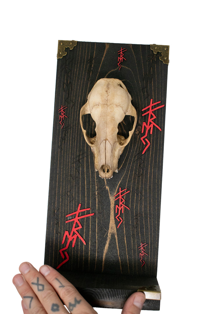 Raccoon Skull Freya Invocation Altar