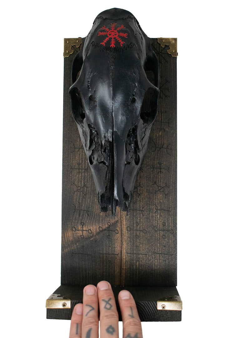 Blackened Deer Skull Altar with Helm of Awe & Icelandic Magical Staves