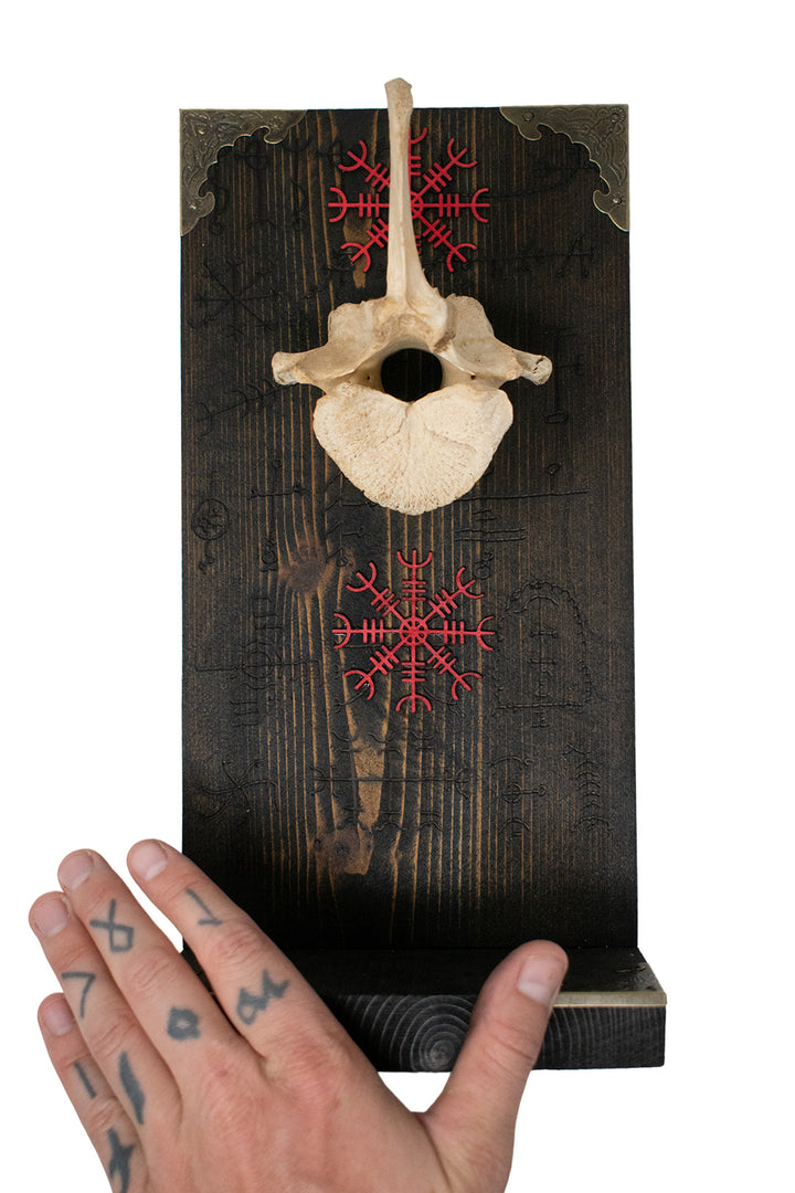Elk Vertebra Helm of Awe Altar