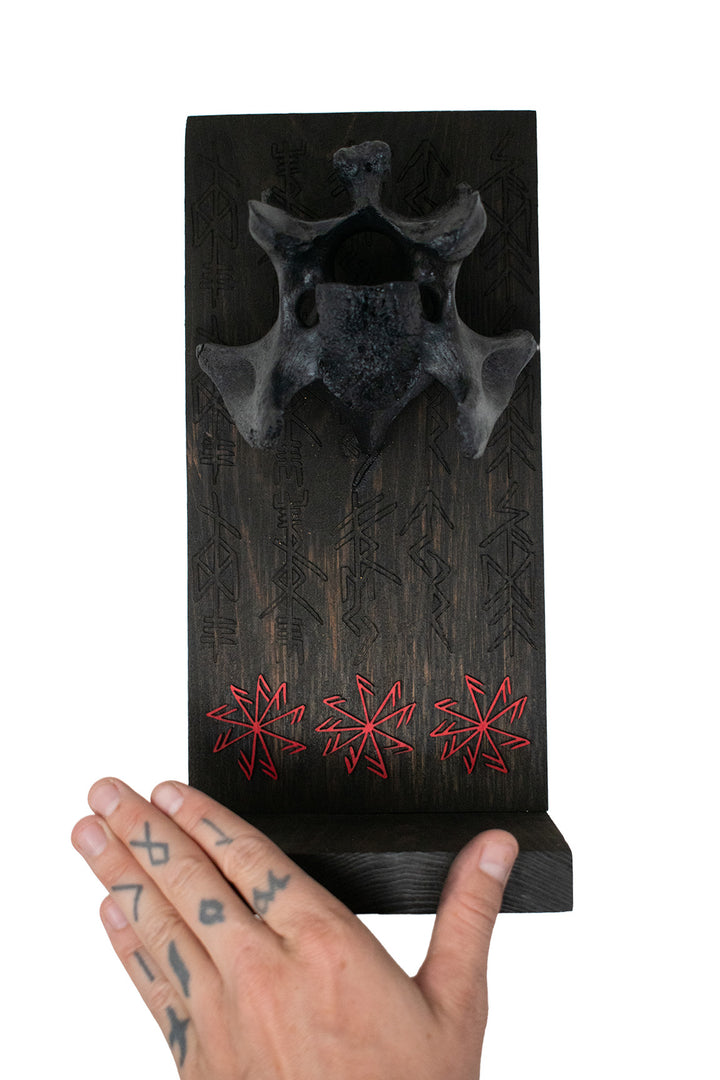 Blackened Cow Vertebra Connection to the Gods Altar