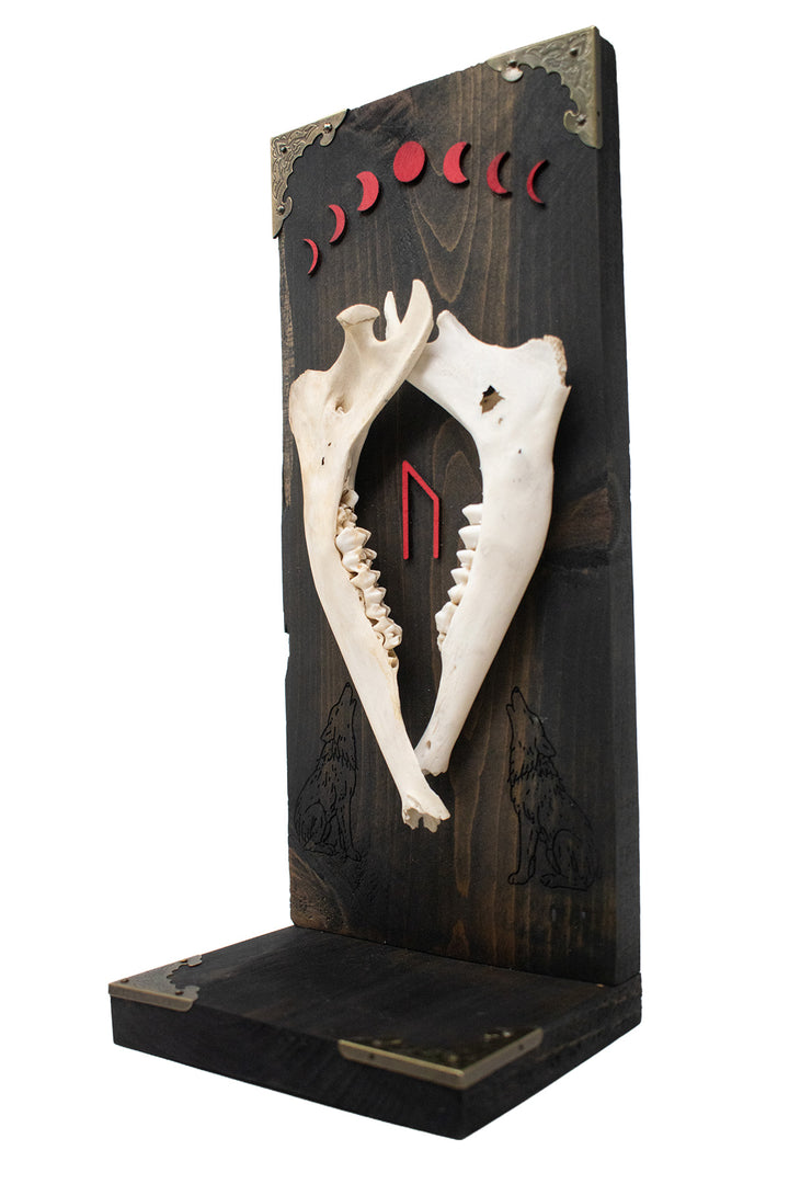 Deer Jawbone Uruz & Moon Phase Altar