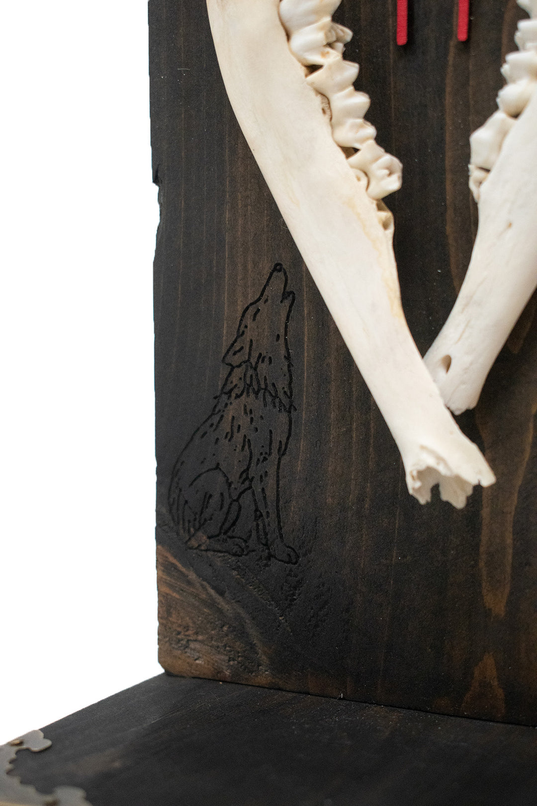 Deer Jawbone Uruz & Moon Phase Altar