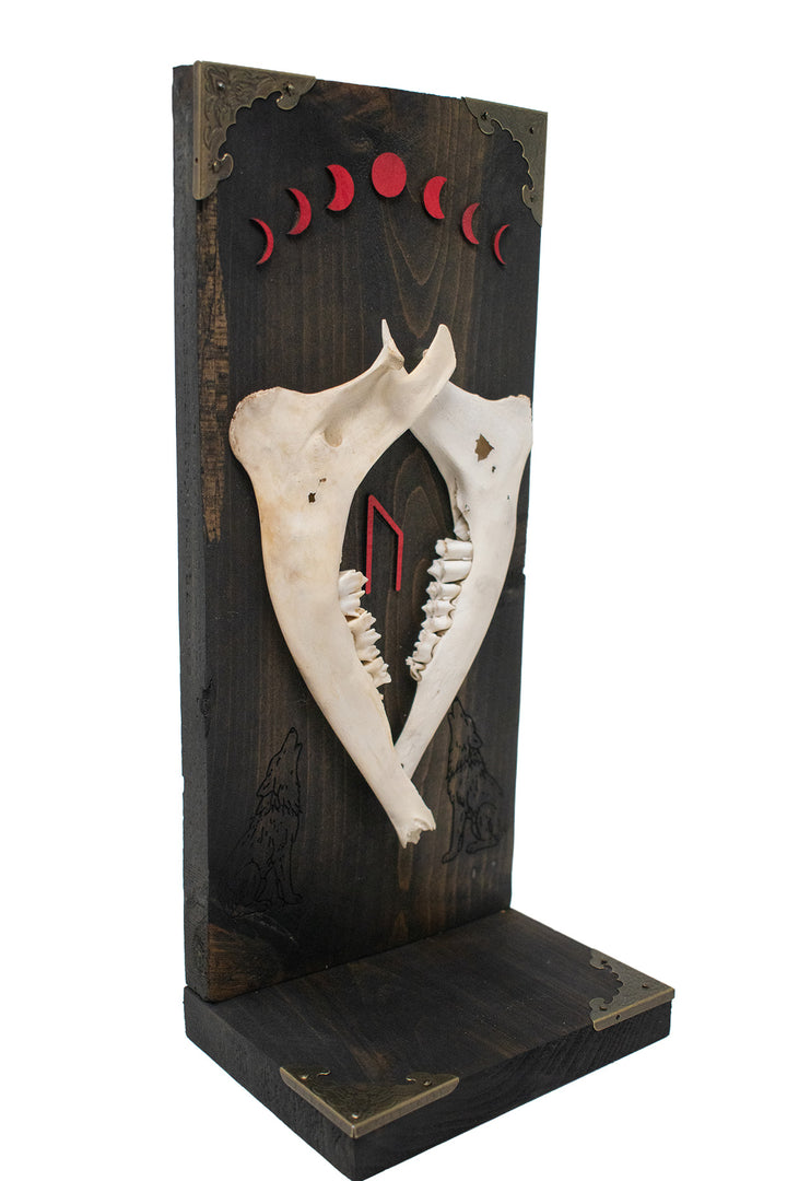 Deer Jawbone Uruz & Moon Phase Altar