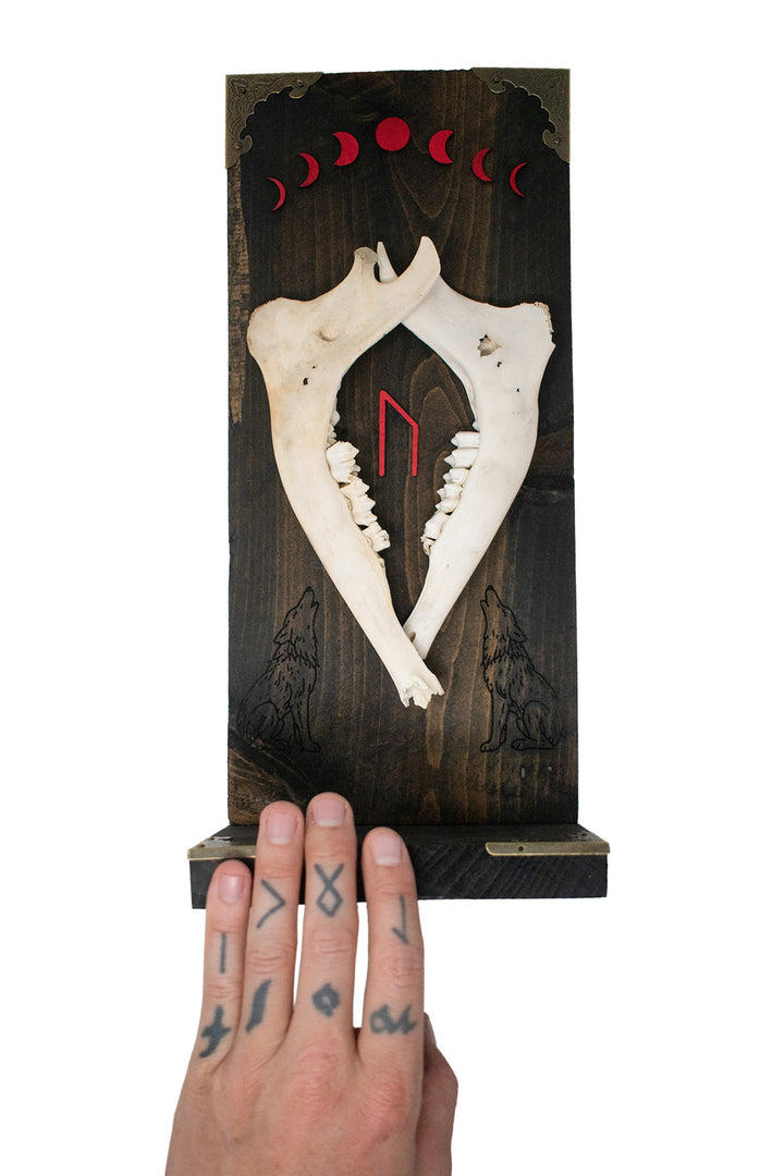 Deer Jawbone Uruz & Moon Phase Altar