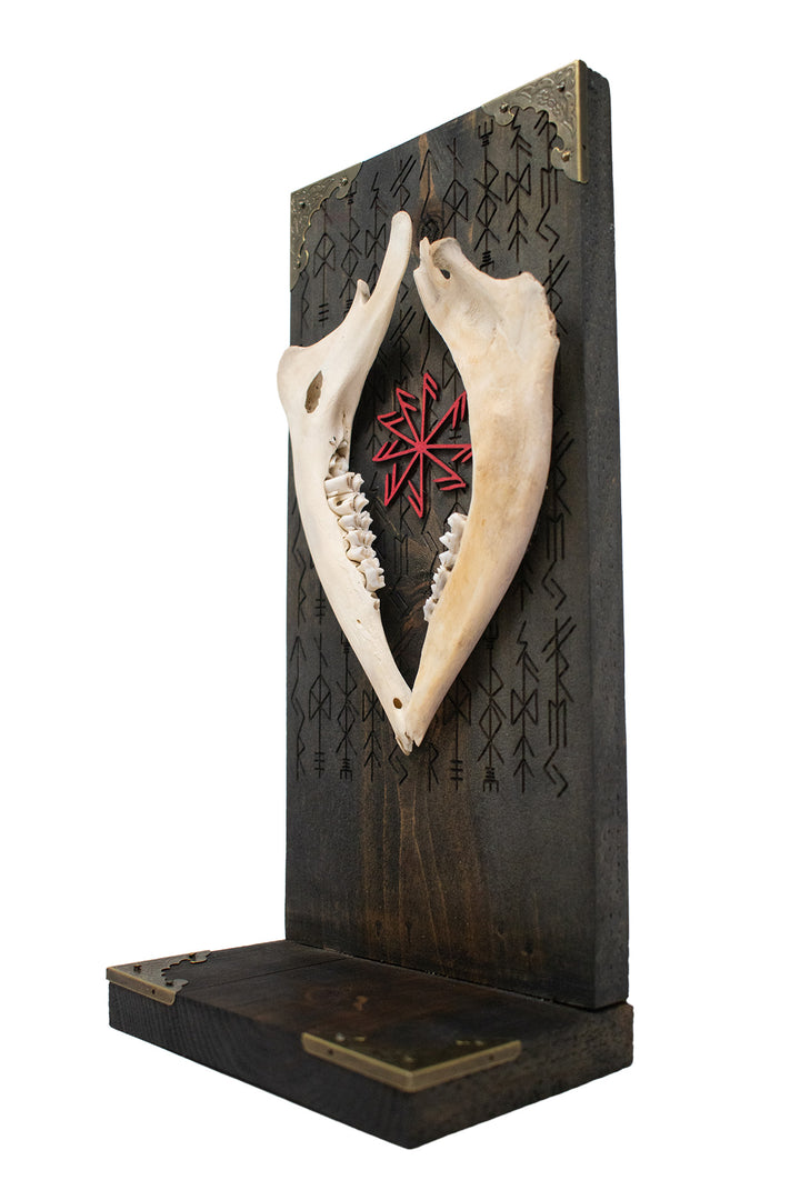 Deer Jawbone Connection to the Gods Altar