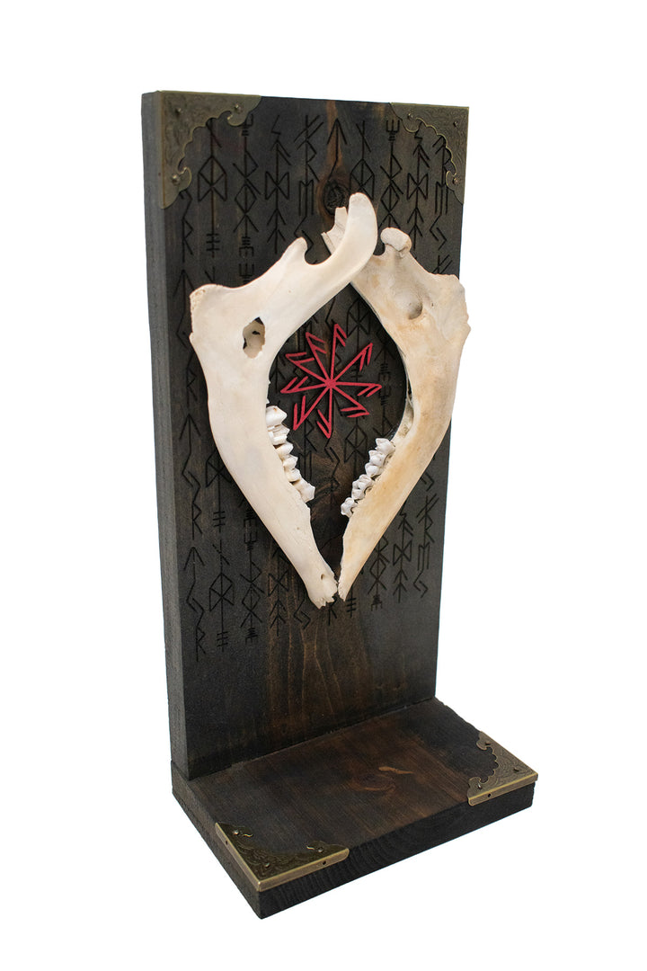 Deer Jawbone Connection to the Gods Altar
