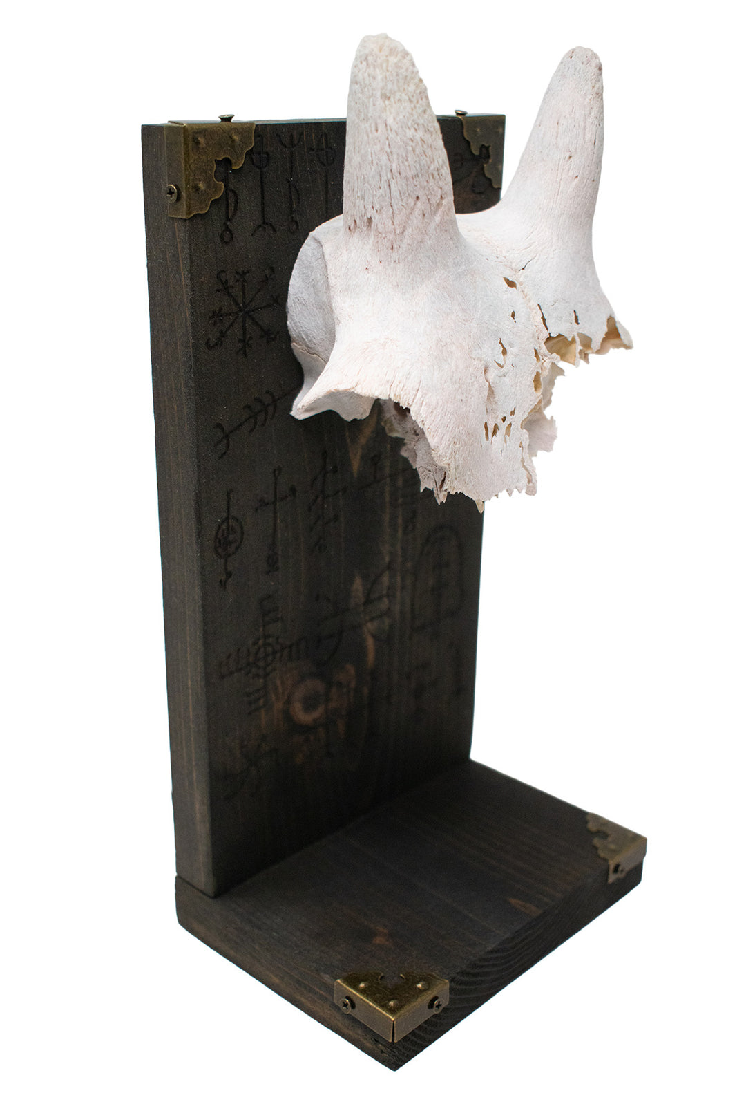 Big Horn Sheep Ewe Skull Icelandic Stave Altar