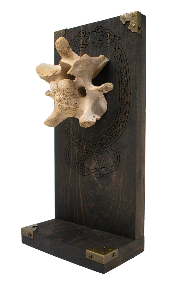 Elk Vertebra Knotwork Serpent Altar