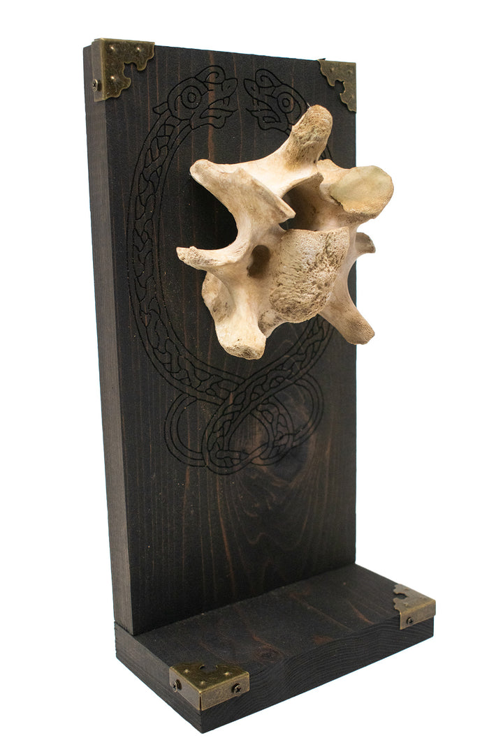 Elk Vertebra Knotwork Serpent Altar