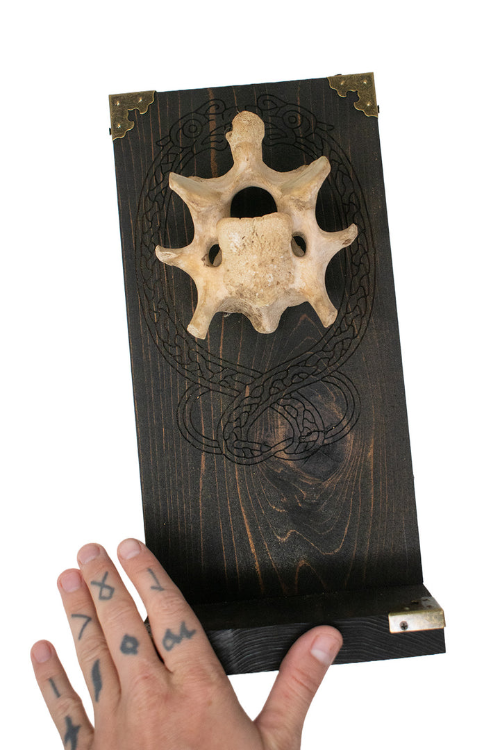 Elk Vertebra Knotwork Serpent Altar