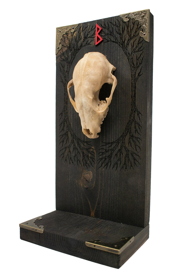 Raccoon Skull Yggdrasil & Berkano Altar