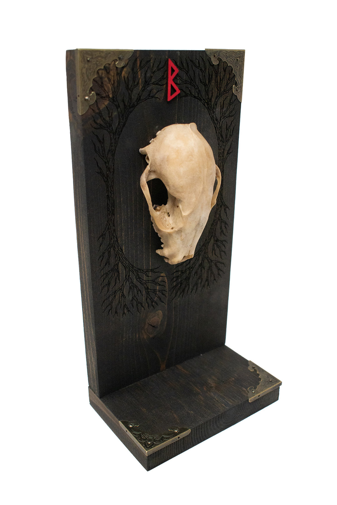 Raccoon Skull Yggdrasil & Berkano Altar
