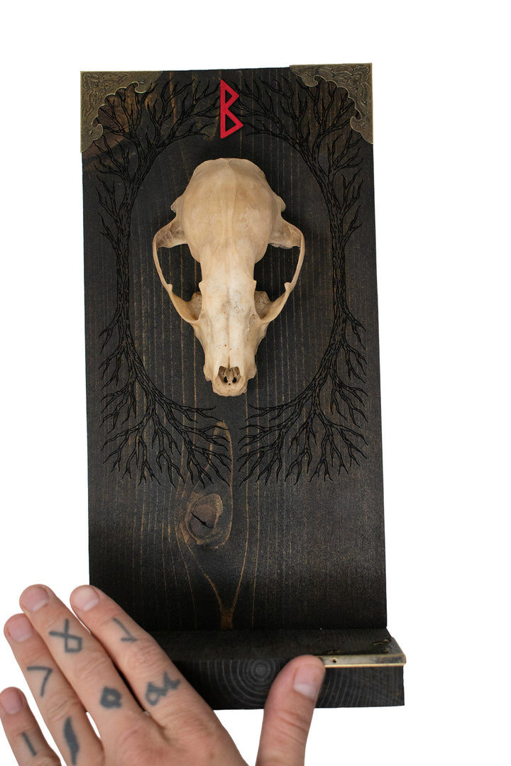 Raccoon Skull Yggdrasil & Berkano Altar