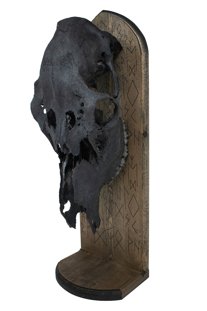 Blackened Elk Skull Elder Futhark Altar