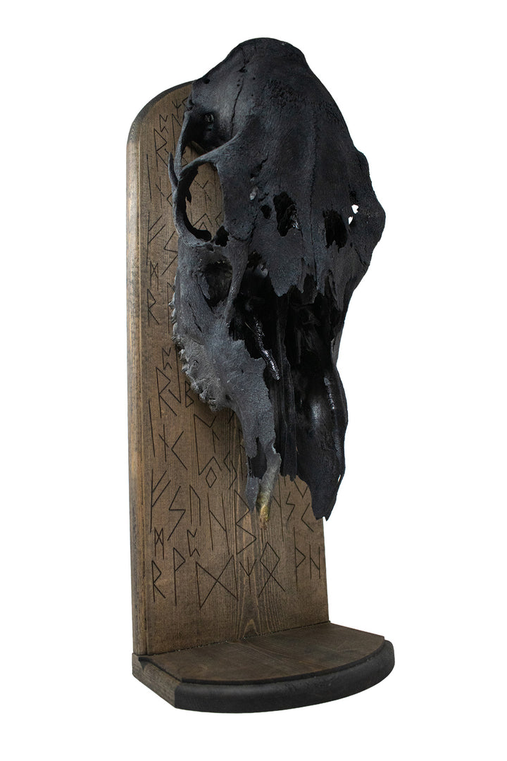Blackened Elk Skull Elder Futhark Altar