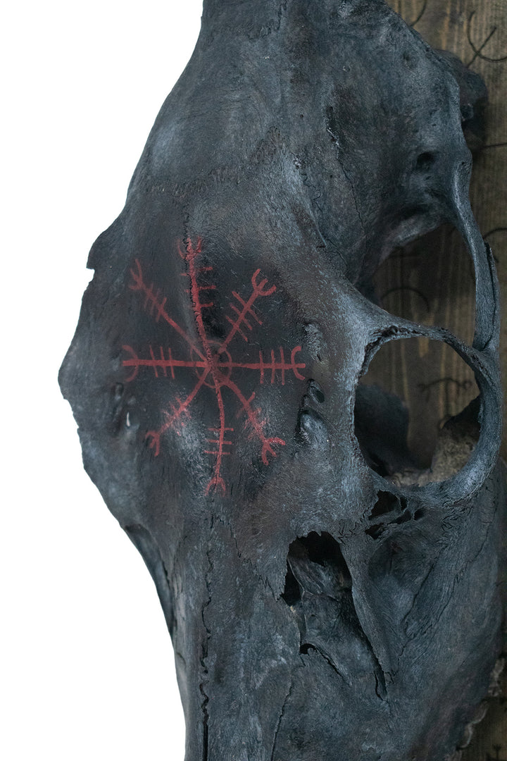 Blackened Elk Skull & Icelandic Magical Staves Altar