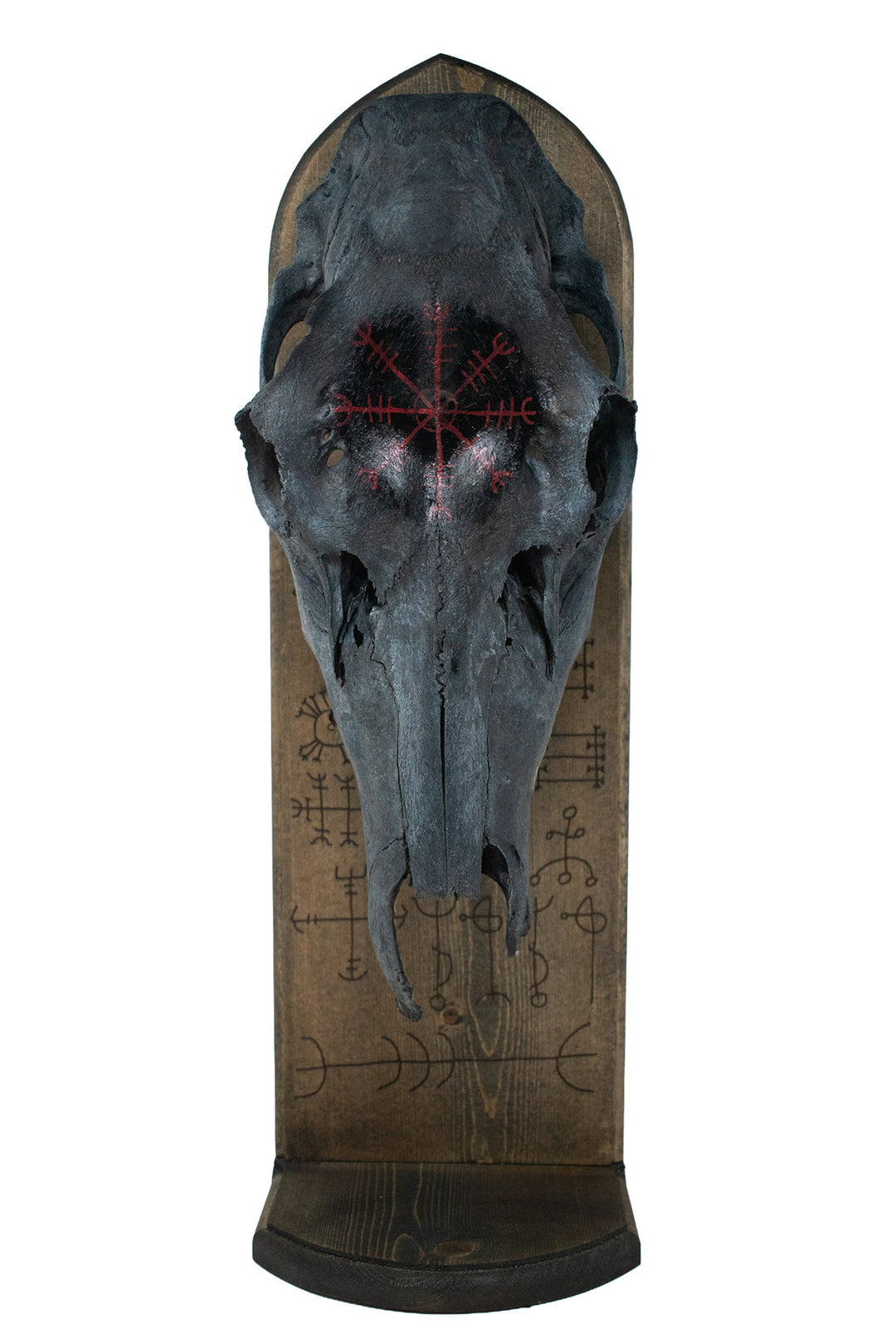 Blackened Elk Skull & Icelandic Magical Staves Altar