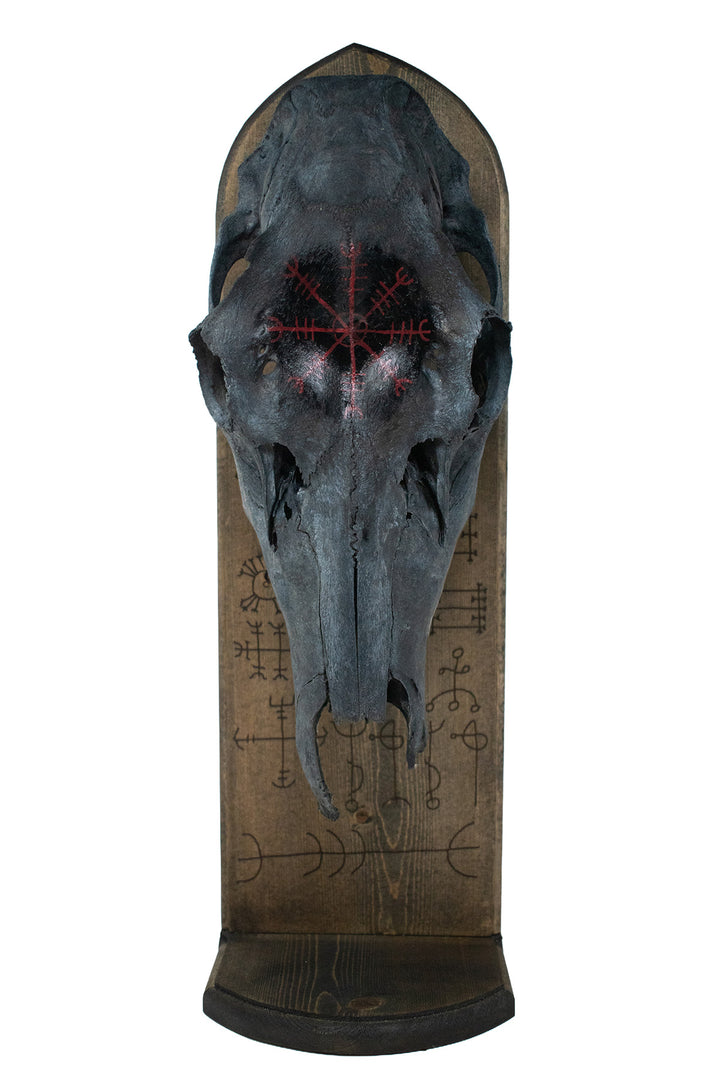 Blackened Elk Skull & Icelandic Magical Staves Altar