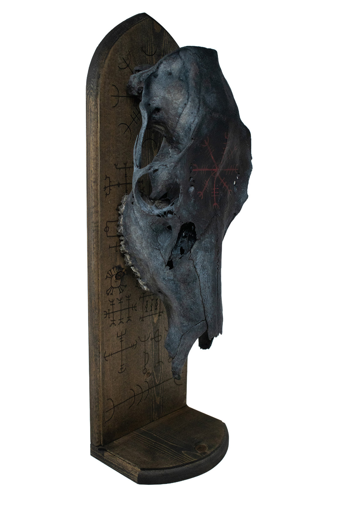 Blackened Elk Skull & Icelandic Magical Staves Altar