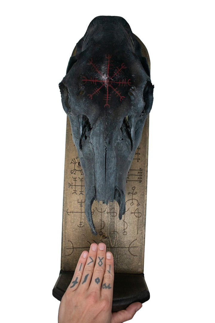 Blackened Elk Skull & Icelandic Magical Staves Altar
