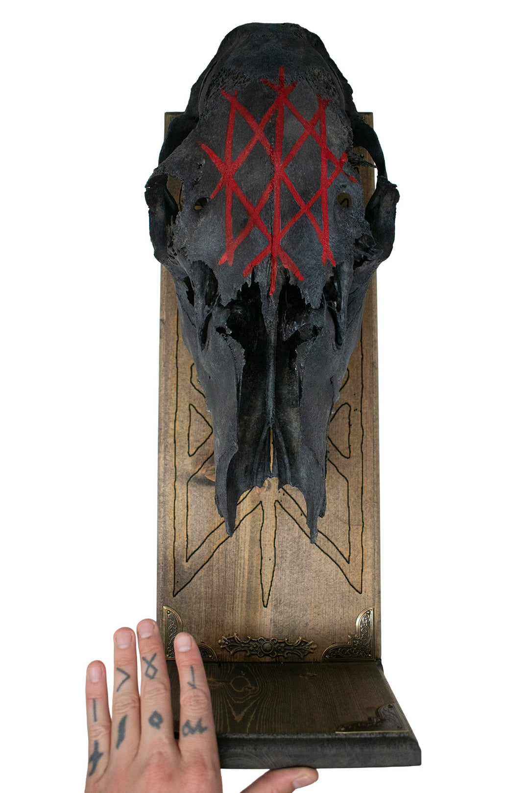 Blackened Elk Skull & Web of Wyrd Altar