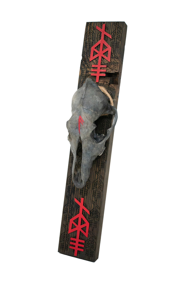 Blackened Coyote Skull & Odin Bindrune Wall Hanger