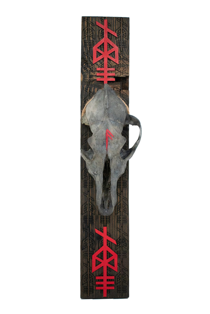 Blackened Coyote Skull & Odin Bindrune Wall Hanger