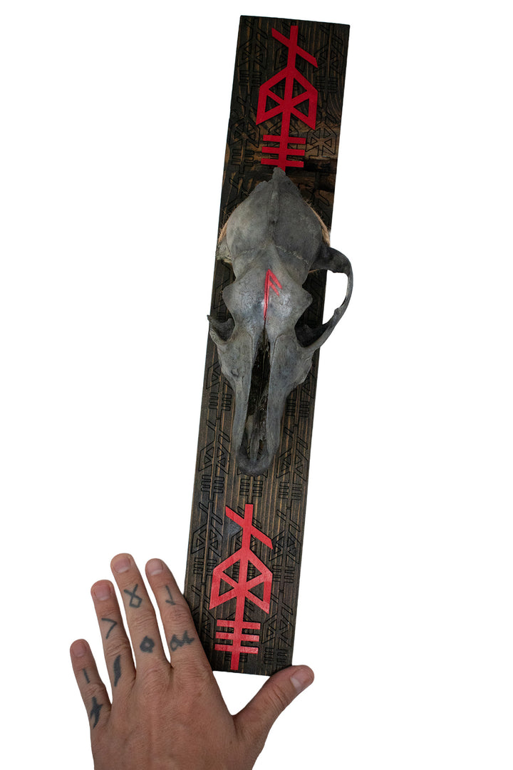 Blackened Coyote Skull & Odin Bindrune Wall Hanger