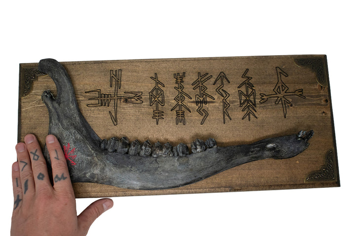 Connection to the Gods Stave Elk Jawbone Wall Hanger