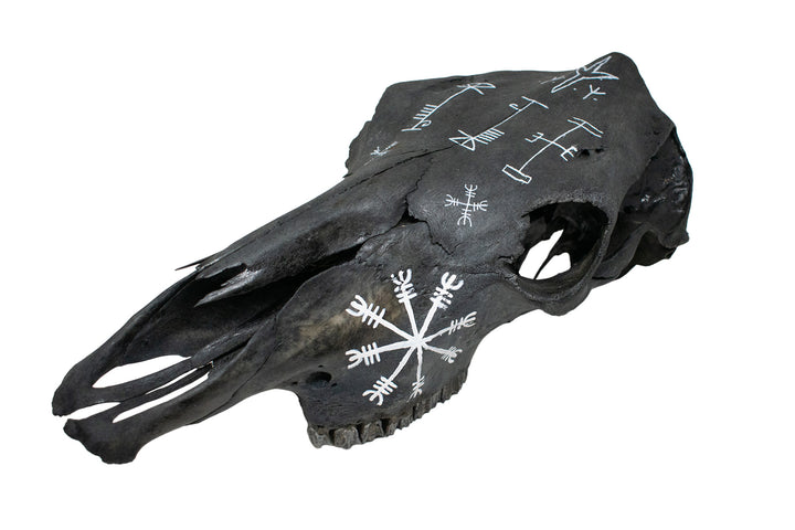 Blackened Cow Skull with Hand Painted Protection Staves