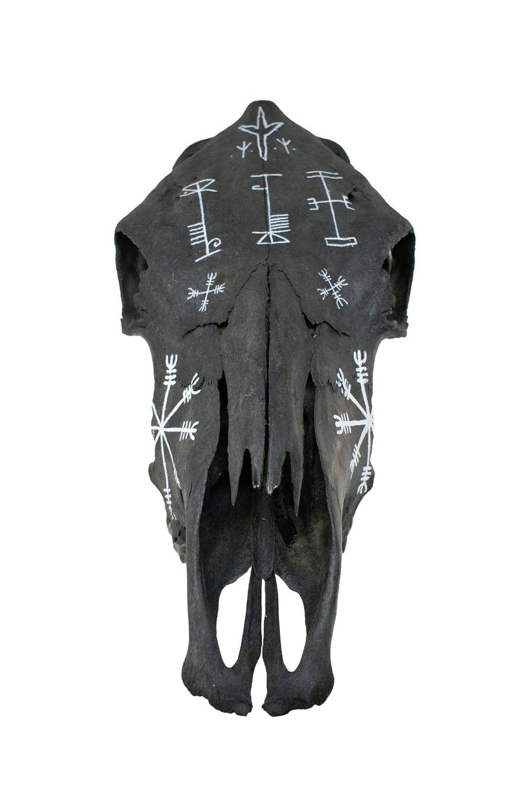 Blackened Cow Skull with Hand Painted Protection Staves