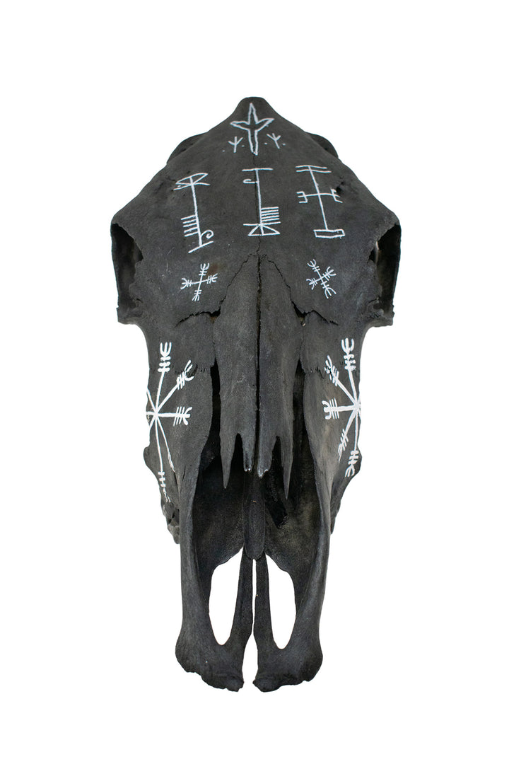 Blackened Cow Skull with Hand Painted Protection Staves