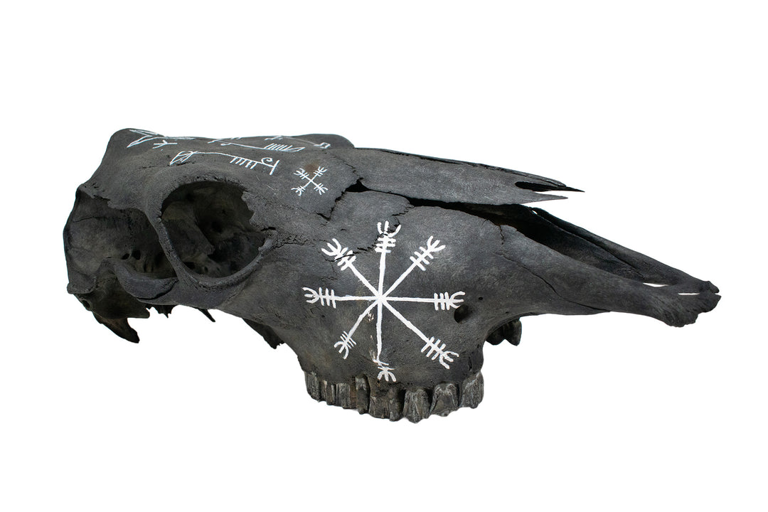 Blackened Cow Skull with Hand Painted Protection Staves