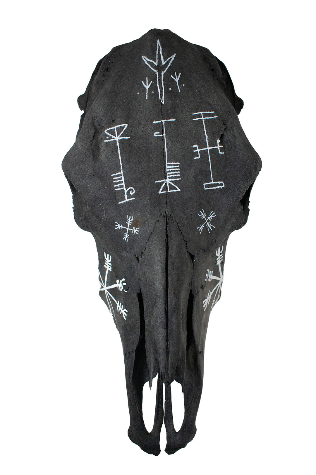 Blackened Cow Skull with Hand Painted Protection Staves