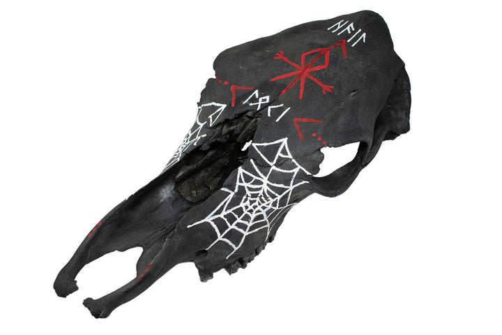 blackened loki cow skull