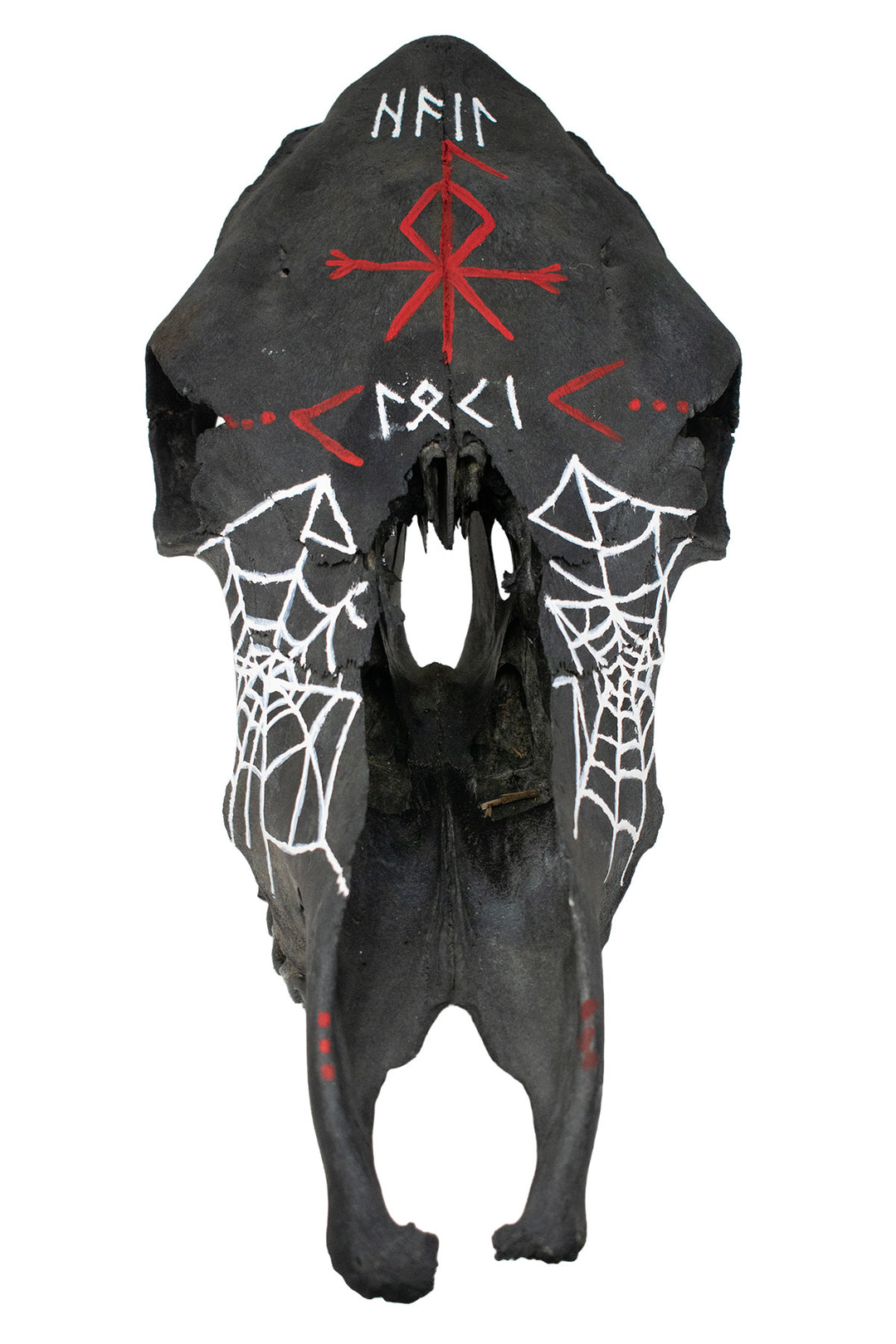 blackened loki cow skull
